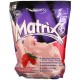 MATRIX (2.300GR) - SYNTRAX